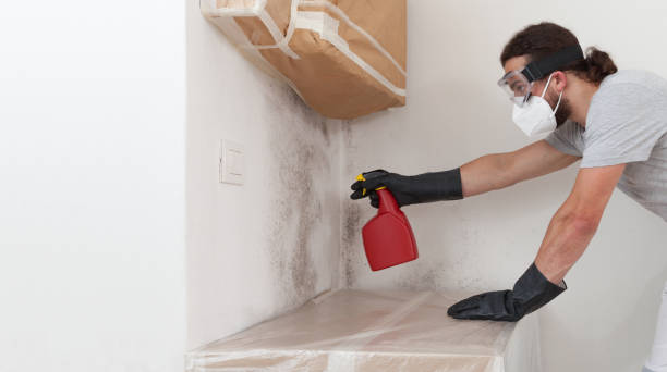 Professional Bathroom Mold Removal technician working in Durham, NC