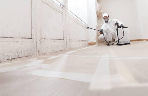 24/7 Emergency Bathroom Mold Removal experts in Durham, NC